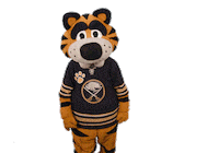 Ice Hockey Sticker by NHL