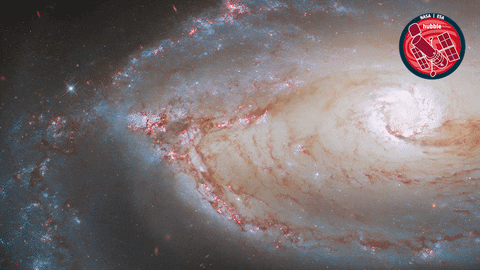 Eye Glow GIF by ESA/Hubble Space Telescope