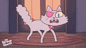 Angry Cat GIF by Ludo Studio
