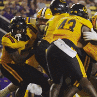 College Football GIF by LSU Tigers