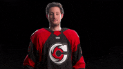 Hockey Echl GIF by Cincinnati Cyclones