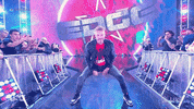 Wwe Wrestling GIF by USA Network