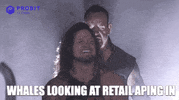 Wwe Crypto GIF by ProBit Global
