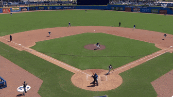 Sliding Blue Jays GIF by Toronto Blue Jays