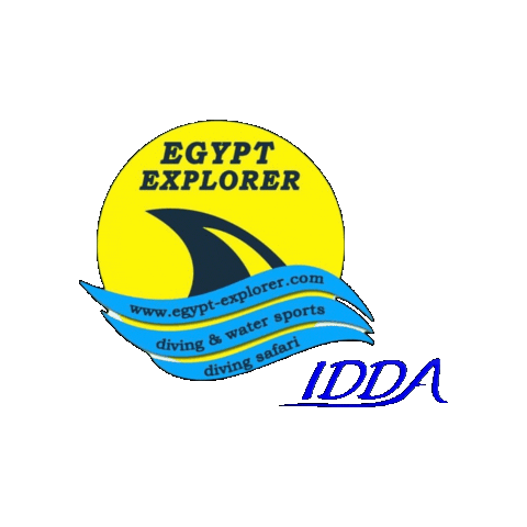 Diving Scuba Sticker by diveidda