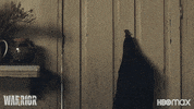 Martial Arts Fight GIF by HBO Max