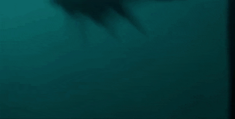 d4441 giphyupload GIF