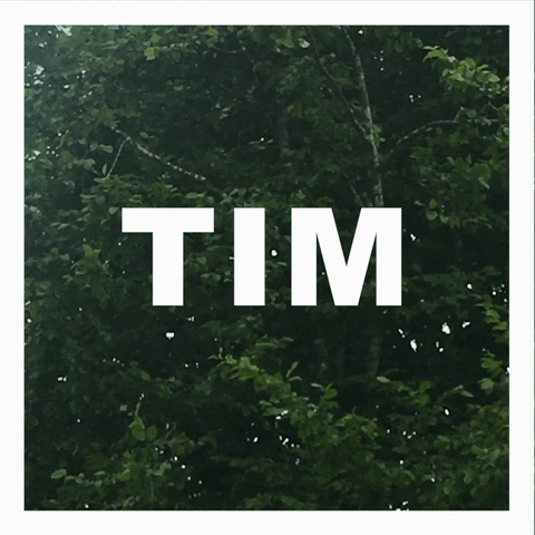 timlutz giphyupload GIF