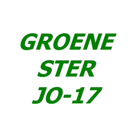 Heerlen Sticker by Groene ster
