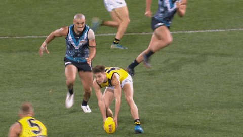 tackle spp GIF by Port Adelaide FC
