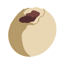 Studio Ghibli Sticker by molehill