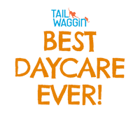 Dog Daycare Sticker by Tail Waggin'