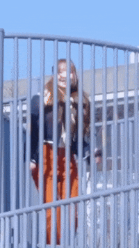 Happy K Pop GIF
