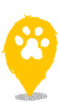 Adifl Sticker by Dogs Trust