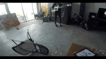 GIF by Harriet