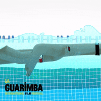 Movie Swimming GIF by La Guarimba Film Festival