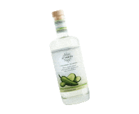 21seeds tequila 21 seeds 21seeds girls call the shots Sticker