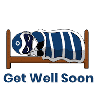 Get Well Soon Sticker by Nanolite Lighting