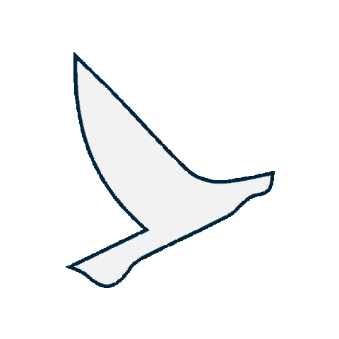 embarkbeyond giphygifmaker embarkimmersion embarkbeyond embarkbeyondbrasil Sticker