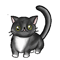 Cat Graduation Sticker by UCLA