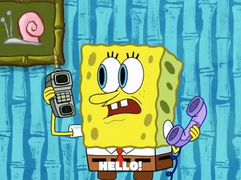 season 8 GIF by SpongeBob SquarePants