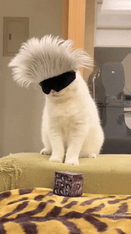 cuteanimalland giphyupload GIF