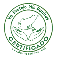 Darwins Frog Chile Sticker by Ranita de Darwin ONG