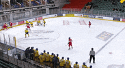 GIF by hokejkv