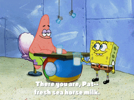 season 4 episode 3 GIF by SpongeBob SquarePants