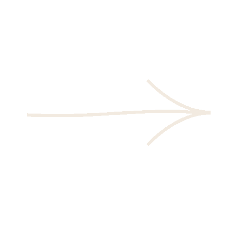 Arrows Sticker by Chapters