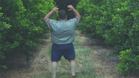adam tas yes GIF by Universal Music Africa