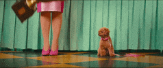 Small Talk GIF by Katy Perry