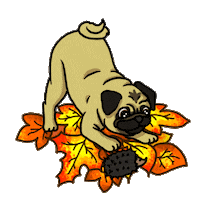 Halloween Fall Sticker by Livia Farkas @ urban:eve