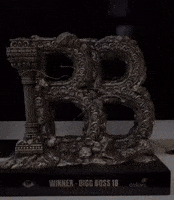 Karanveermehra GIF