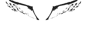 Flying Black Wings Sticker by youmotion.com