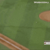 Baseball Ncaa GIF by FloSports