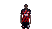 Celebration Goal Sticker by Eintracht Frankfurt