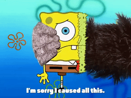 season 3 GIF by SpongeBob SquarePants