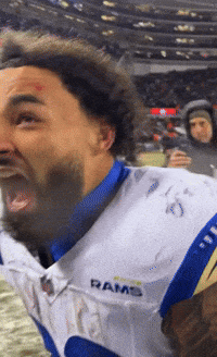 Celebrate Los Angeles Rams GIF