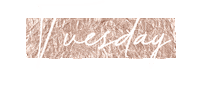 Day Friday Sticker by Ana Steinberg Designs