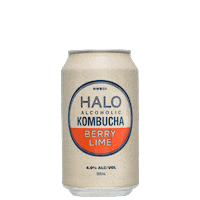 Sticker by Halo Alcoholic Kombucha