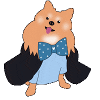 Cookie Pomeranian Sticker