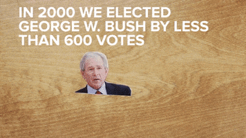 Voting George W Bush GIF by BuzzFeed