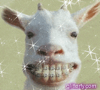 GIF by Random Goat