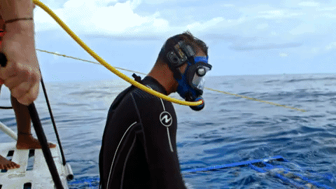 discovery channel adventure GIF by Discovery Europe