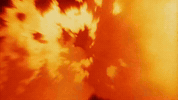 Basketball College GIF by Tennessee Athletics