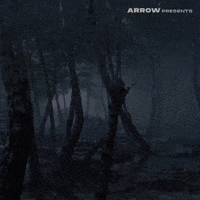 Sergio Martino Film GIF by Arrow Video