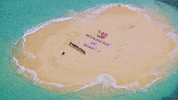 Survivor GIF by CBS