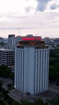 Glowing South Carolina GIF by University of South Carolina