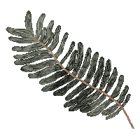 Fall Tree Sticker